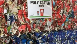 Compressed Poly Coated Cups for Recycling