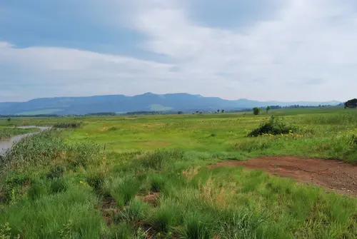 karkloof_wetland_landscape
