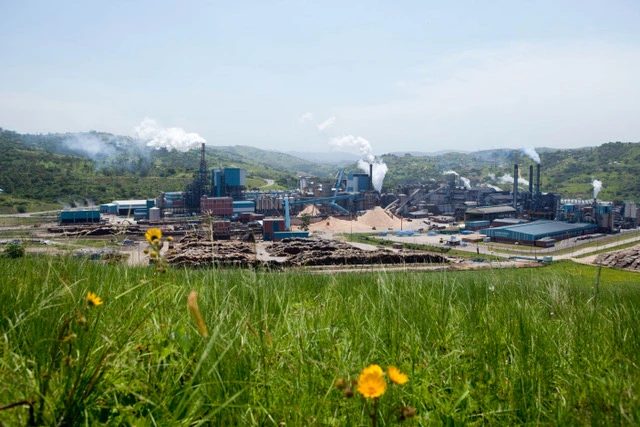 pulp mill landscape with timber stockpiles
