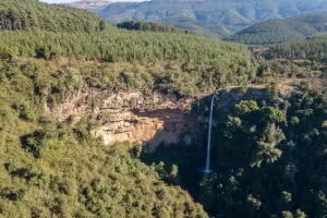 Lone Creek Falls Forested Cliff View