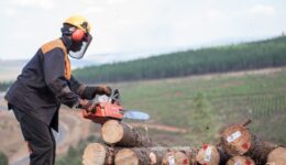 PAMSA-FW South African Forestry Sector Makes Chainsaw Training Safer With Virtual Reality1