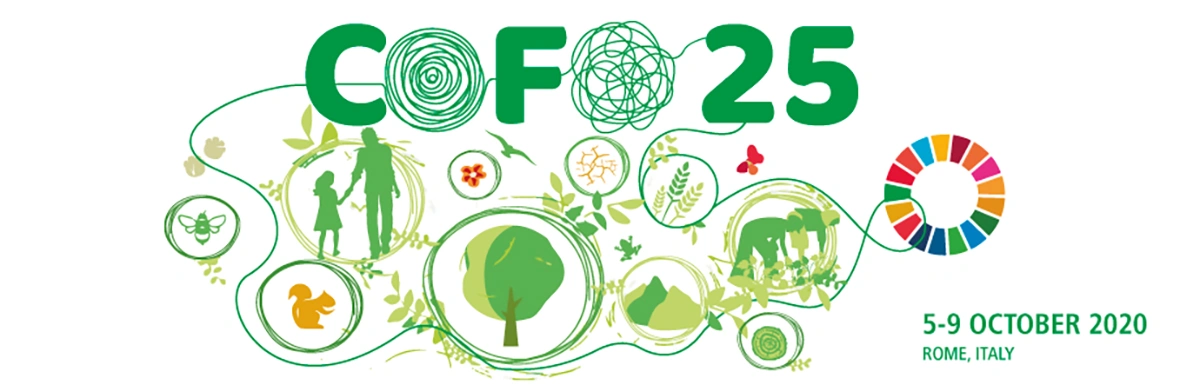 COFO 25 Forestry Conference Banner