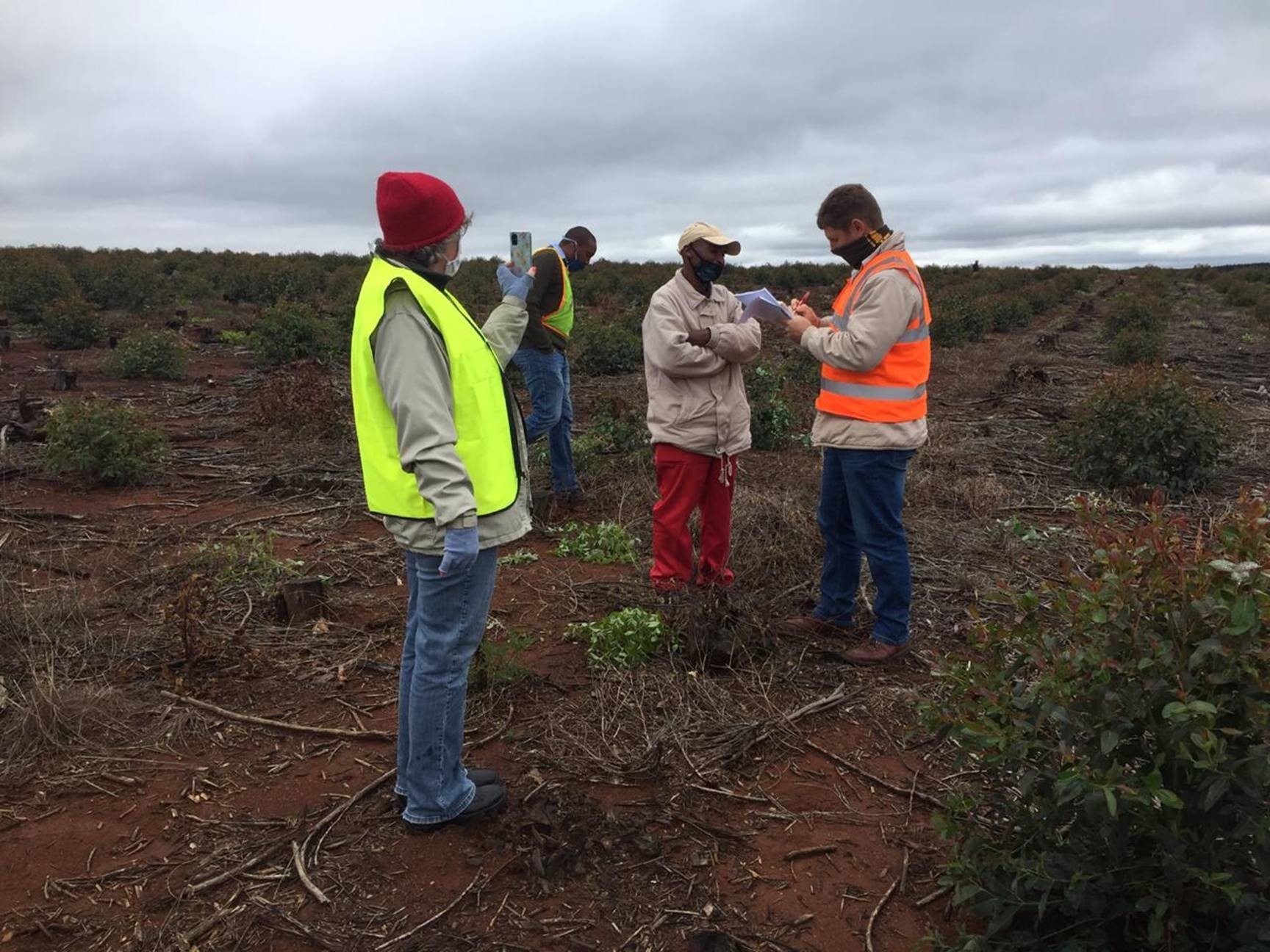 Sappi Achieves First International PEFC Forest Certification In South Africa