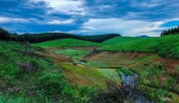 lush valley stream under cloudy sky