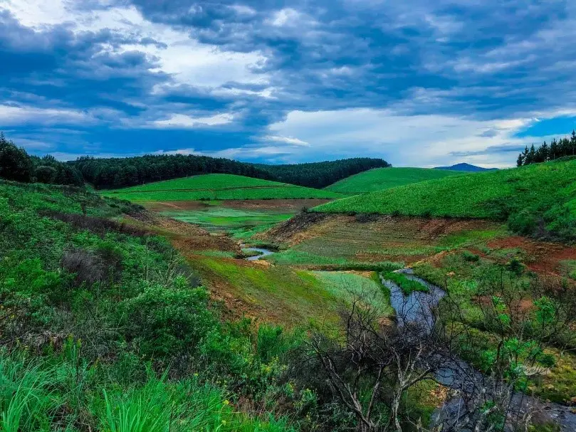 lush valley stream under cloudy sky lush valley stream under cloudy sky