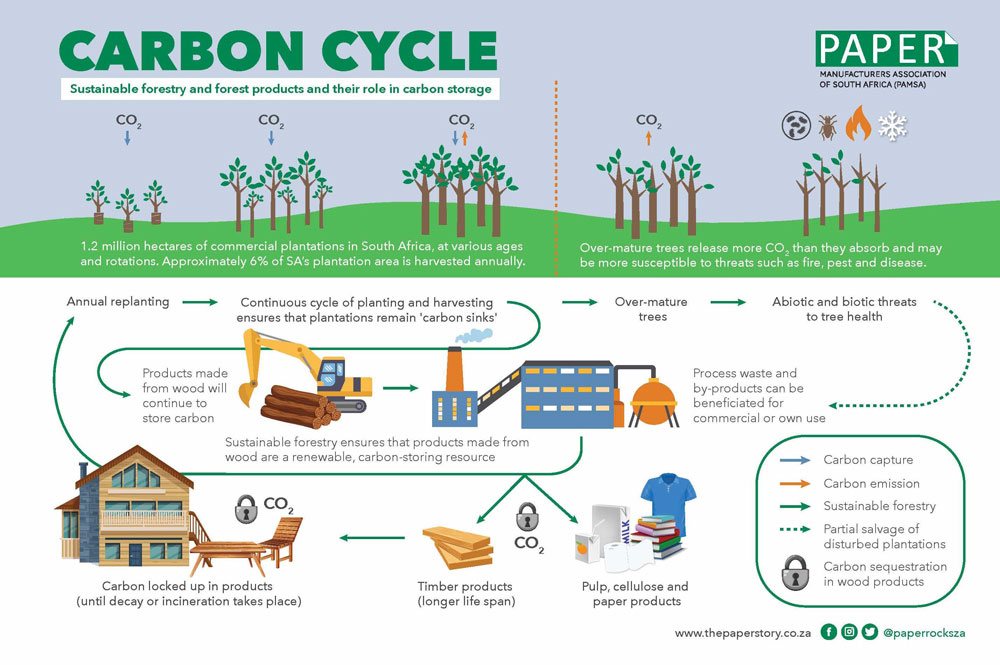 Carbon Cycle Image