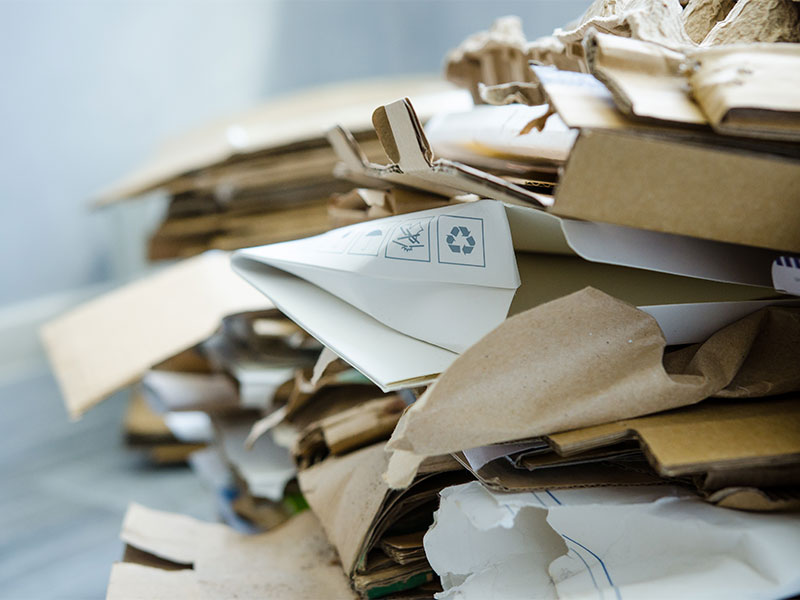 Paper Recycling Explained