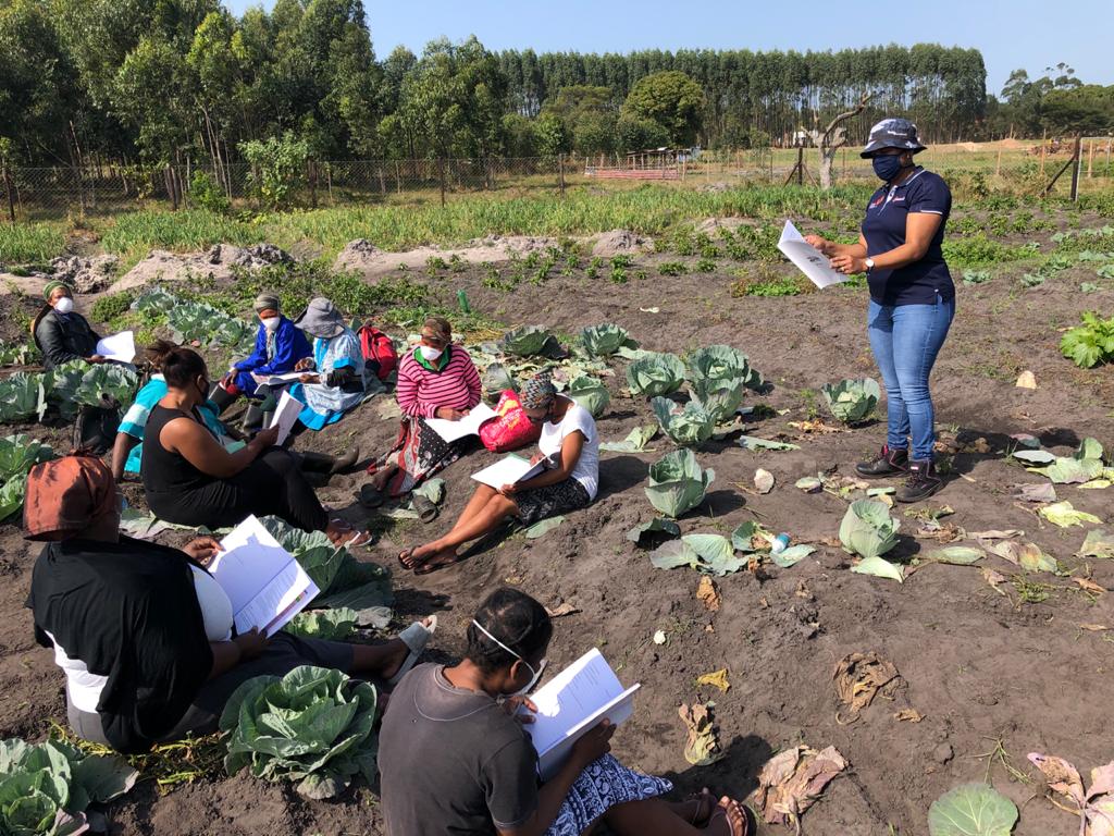 Mondi Zimele facilitates basic financial management and record-keeping training for members of the Sibusisiwe Cooperative