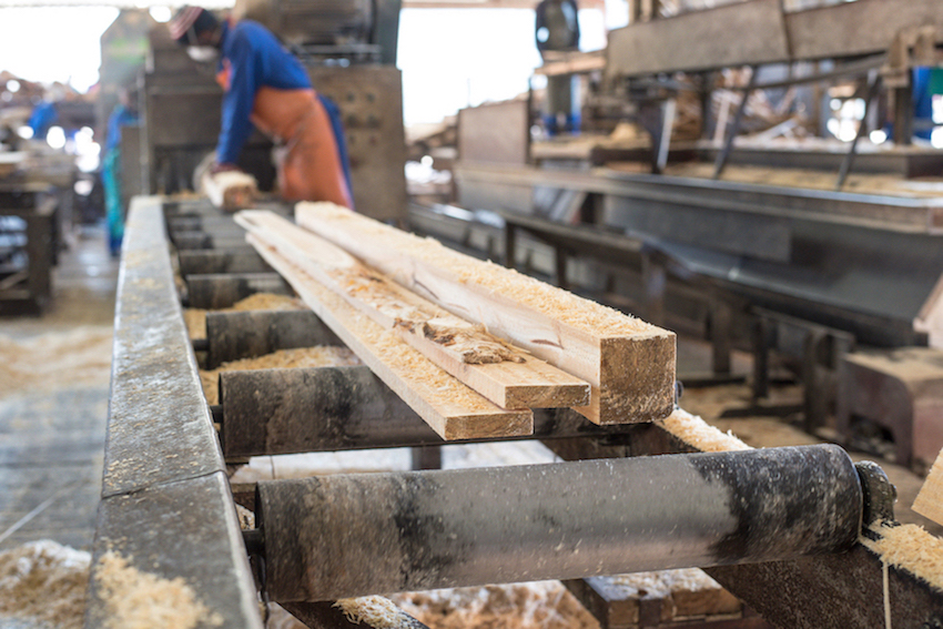 The sawmilling sector makes use of a renewable resource that can be treated to perform better than most construction materials. Credit: Ludwig Sevenster