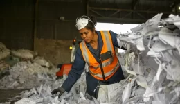 Paper Sorting Line