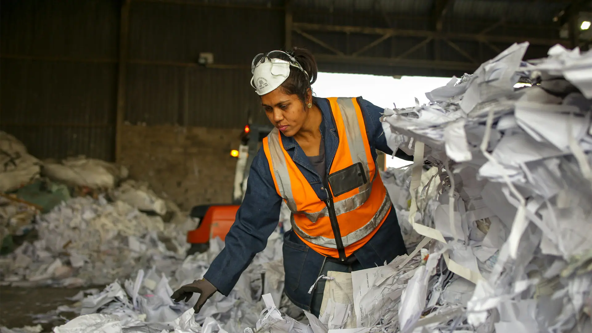 Paper Sorting Line