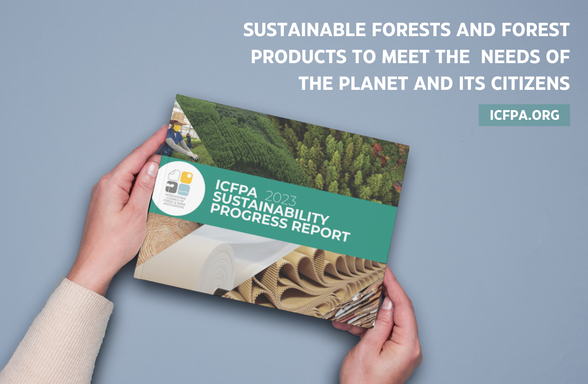 Forestry and forest products sector releases 2023 global sustainability progress report