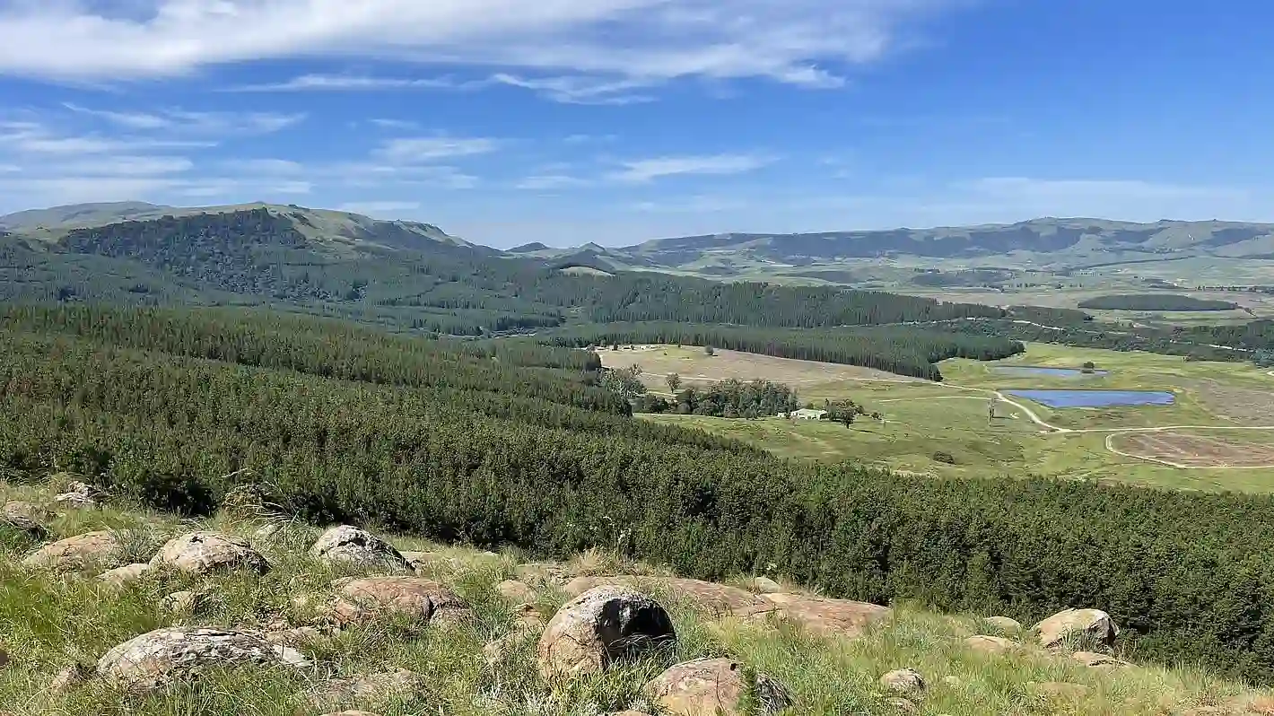 Forested Valley with Mountains and Farmland