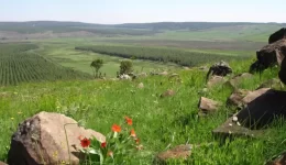 South African outdoor landscape