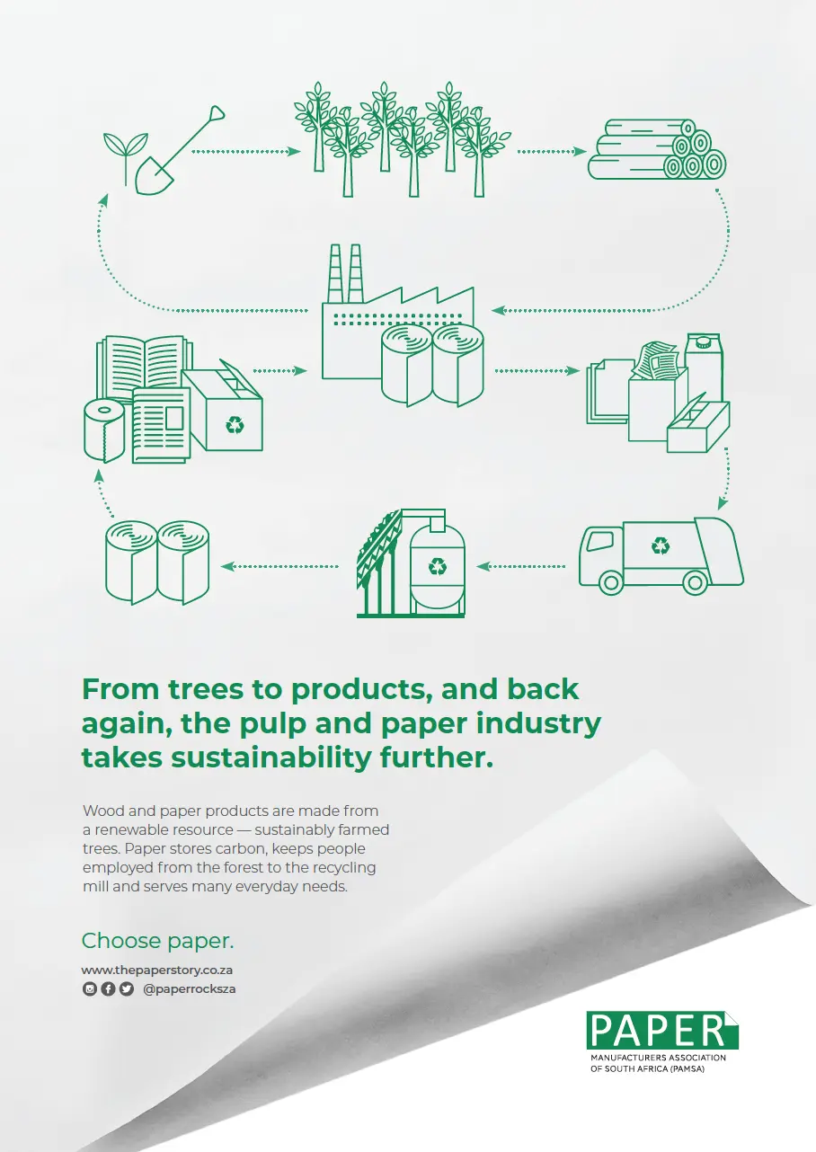 Sustainability Infographic pulp and paper