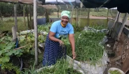 Norha Ngcobo in one of her vegetable gardens supported by Sappi