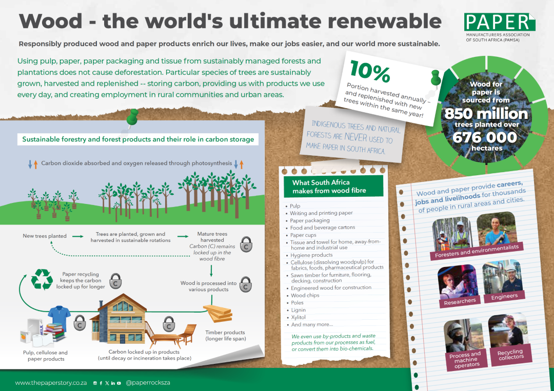 253972 PAMSA value chain infographic