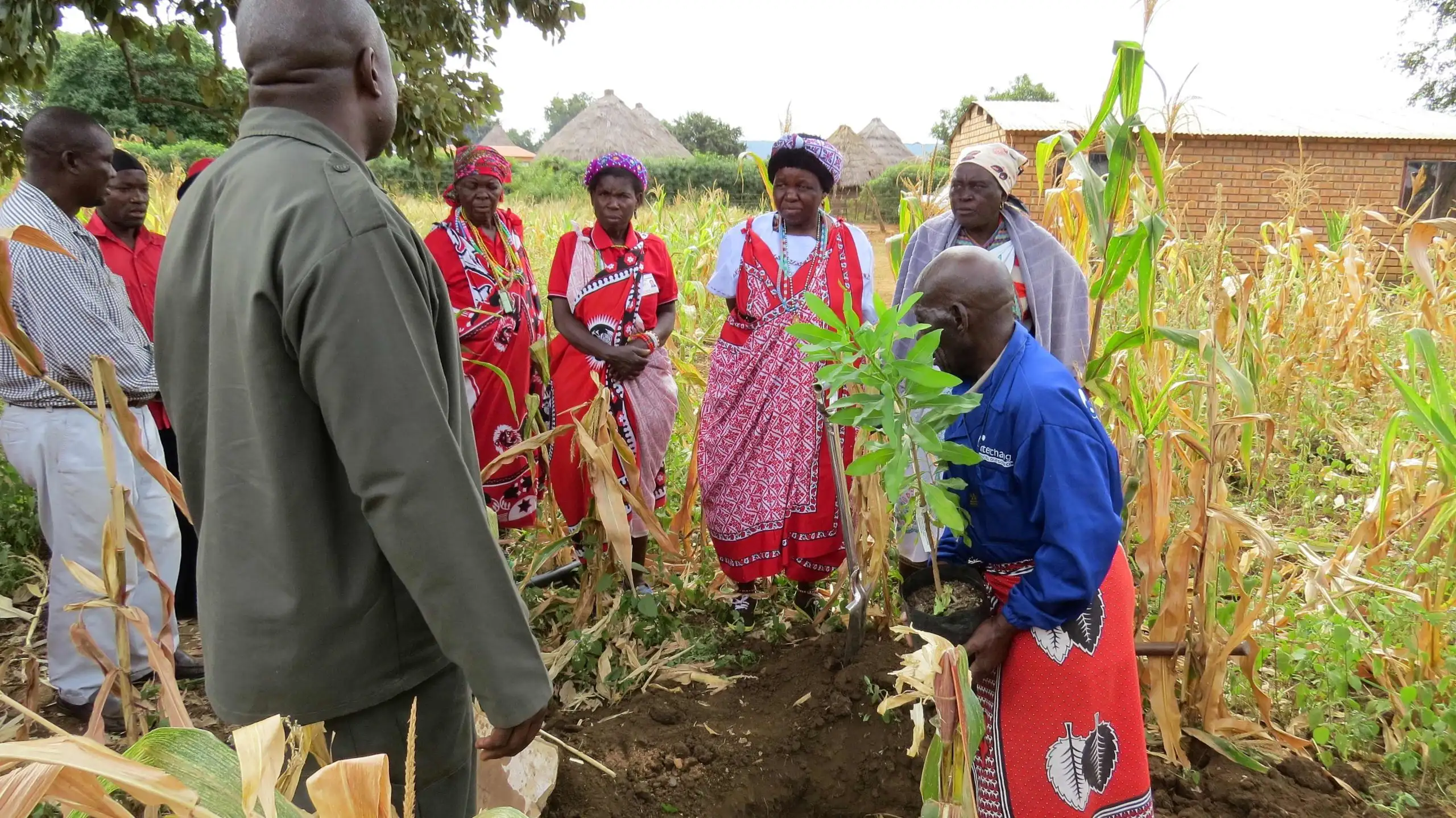 community_tree_planting_ceremony community_tree_planting_ceremony
