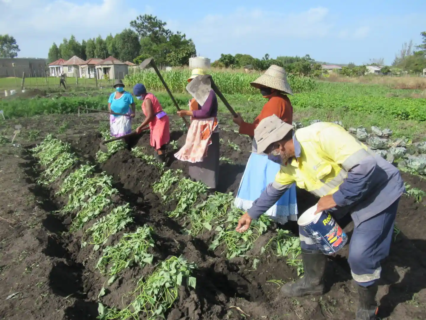 community farming work community farming work