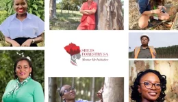 Forestry Women Mentor Initiative
