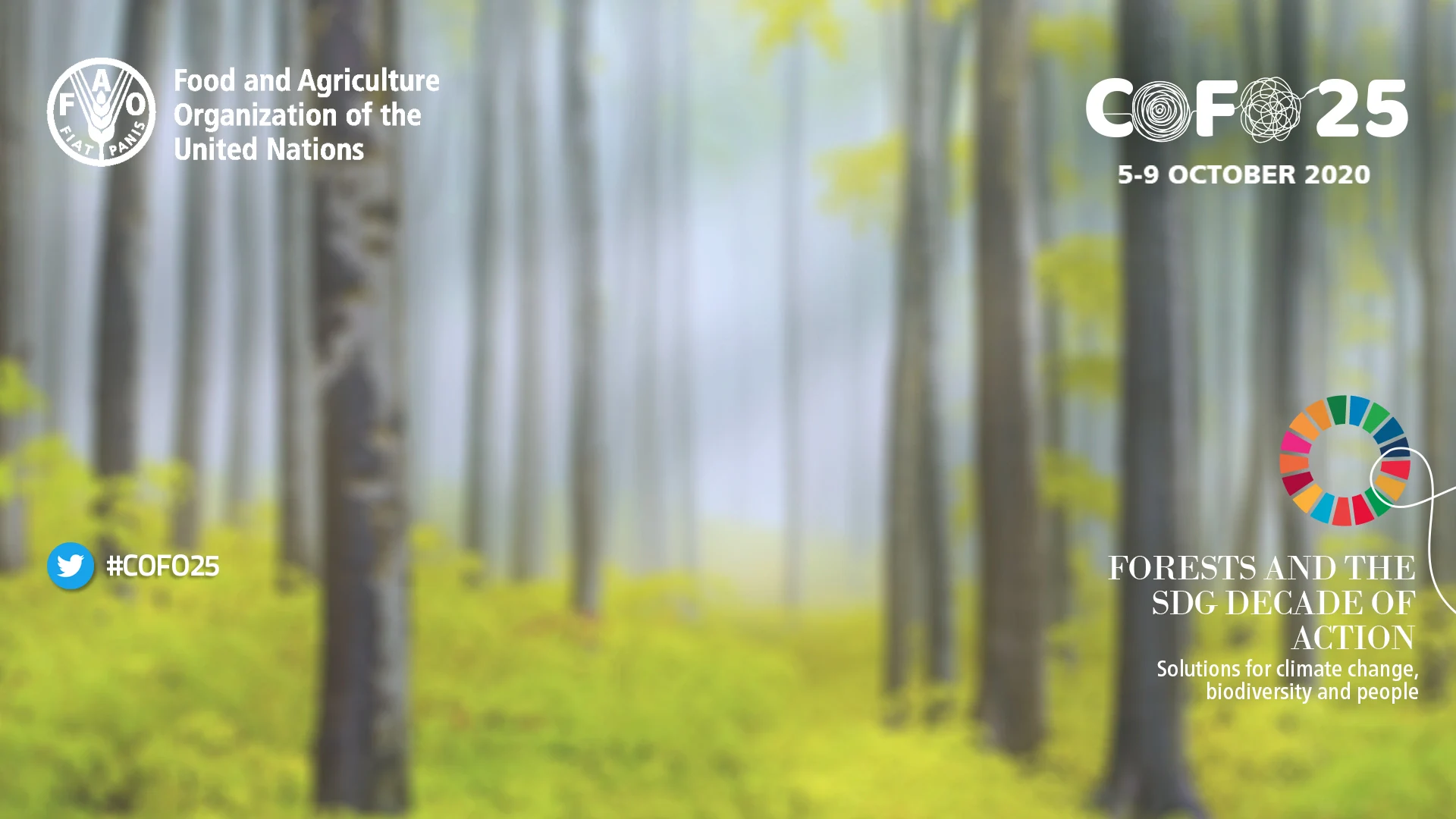 Forests and Climate Solutions COFO 25 Forests and Climate Solutions COFO 25