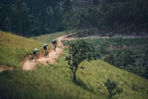 Mountain Bikers Riding Forest Trail Descent