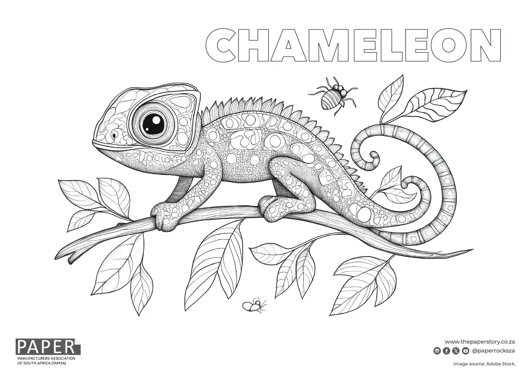 Chameleon Coloring Page