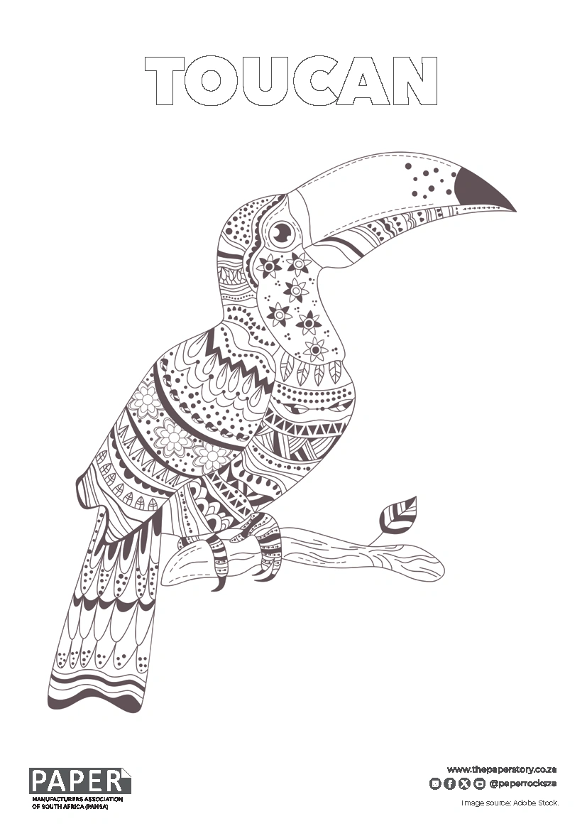 Toucan Coloring Page