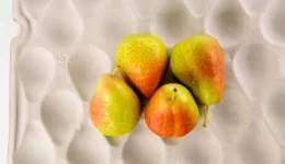 Fruit-pulp-trays-Credit-Huhtahmaki