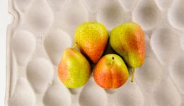 Fruit pulp trays - Credit Huhtahmaki