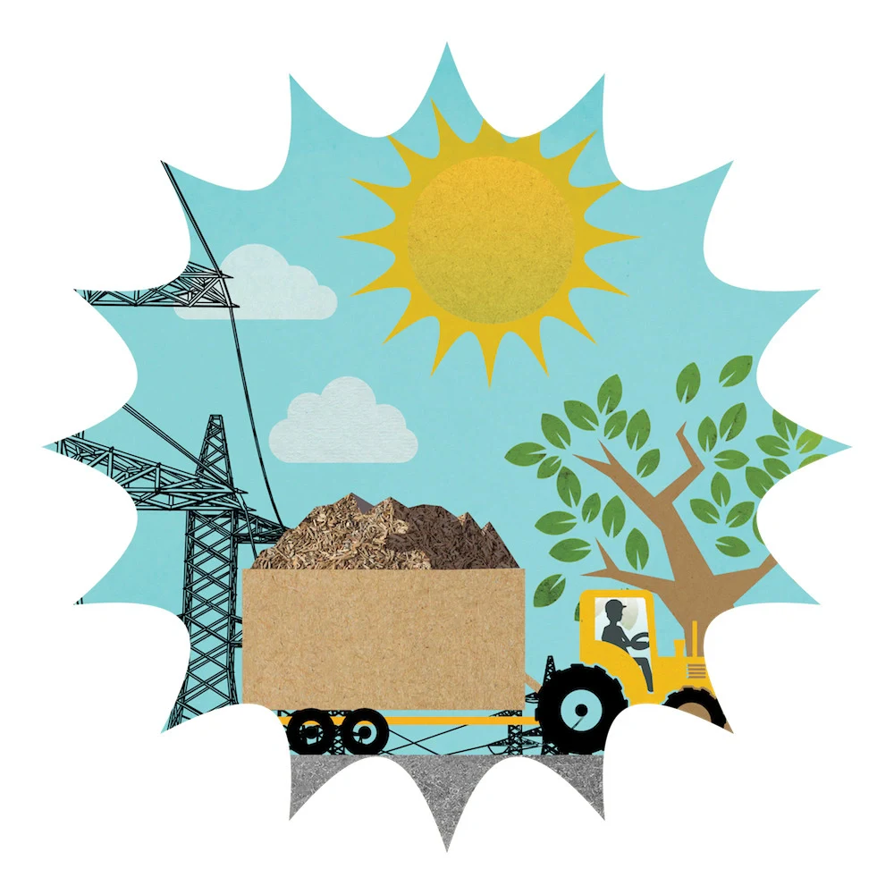 biomass-energy-illustration-woodchip-transport