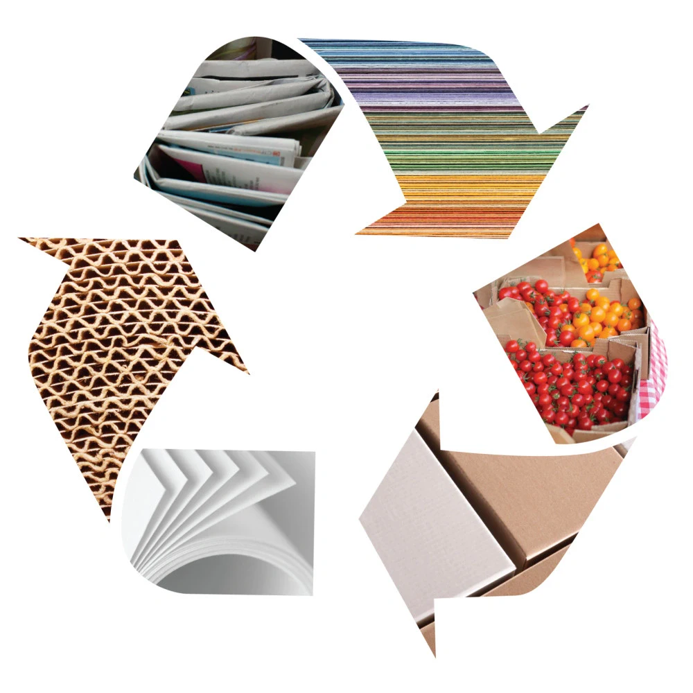 recycling symbol with paper and cardboard items