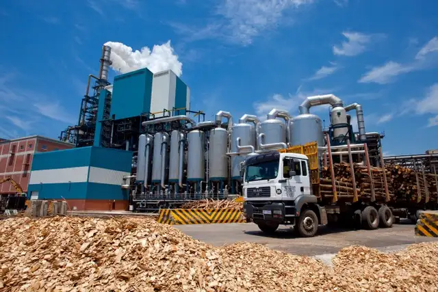 wood processing plant with log transport truck
