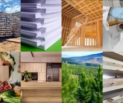 Forest-sector-collage