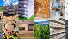 Forest sector collage