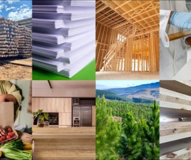 Forest sector collage