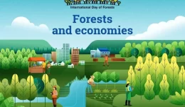 International Day of Forests infographic