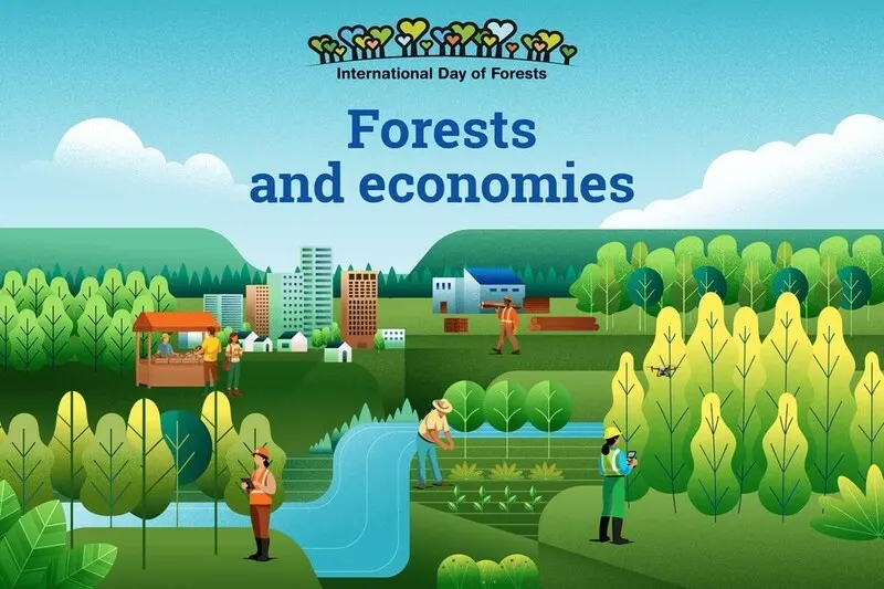 International Day of Forests infographic