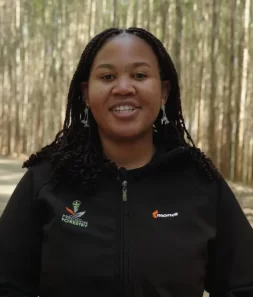 forestry professional sustainable paper industry forest background