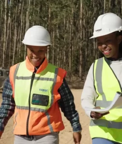 sustainable forestry workers