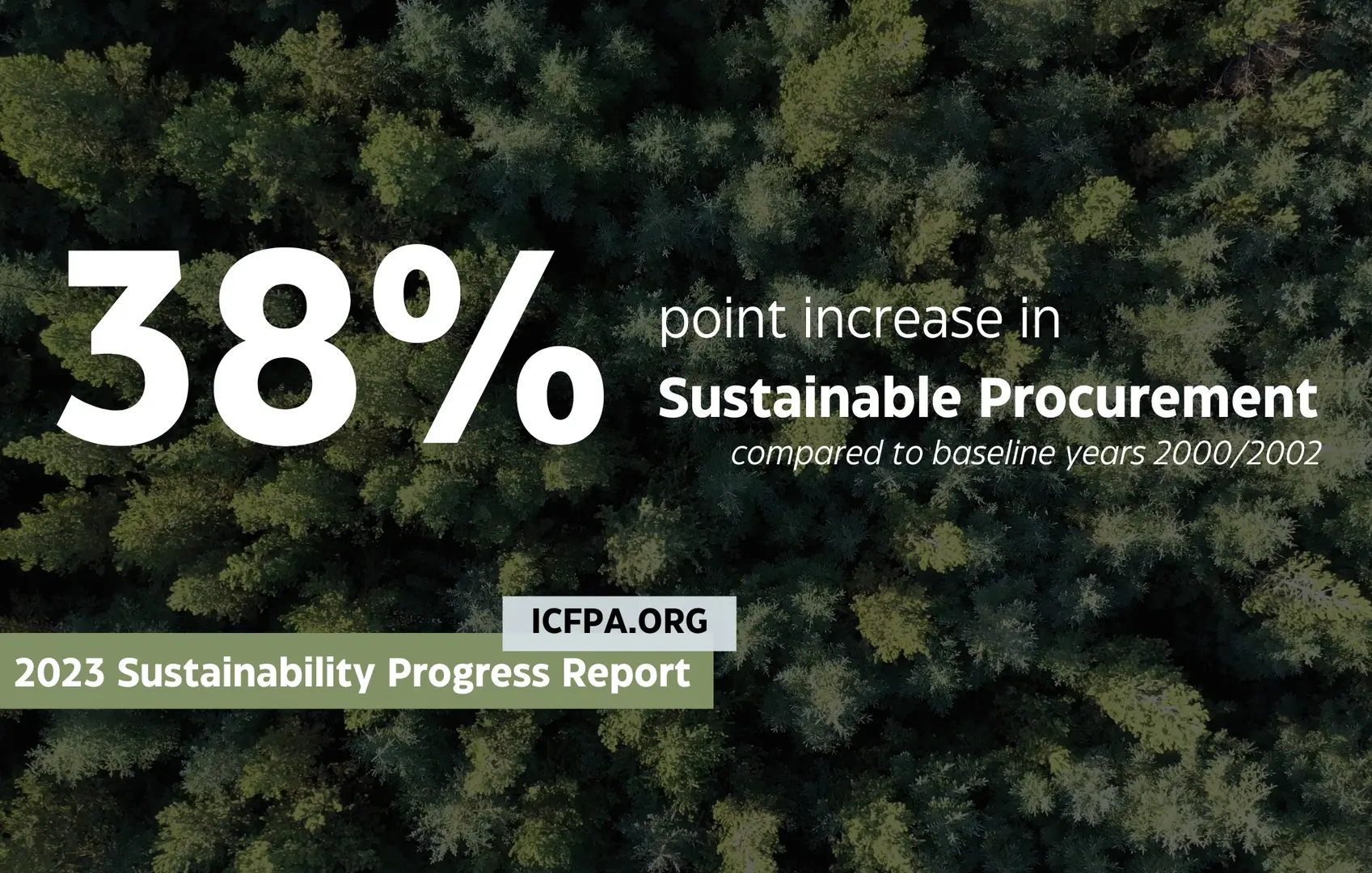 sustainable paper sourcing forest overview