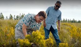 MTO Forestry Karen Kirkman and Alton Jacobs monitoring biodiversity in MTOs Longmore Plantation