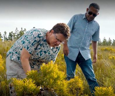 MTO Forestry Karen Kirkman and Alton Jacobs monitoring biodiversity in MTOs Longmore Plantation