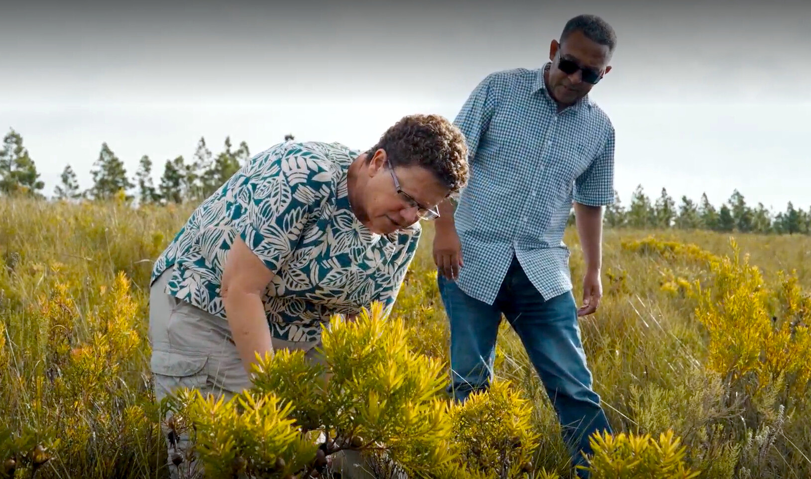 MTO Forestry Karen Kirkman and Alton Jacobs monitoring biodiversity in MTOs Longmore Plantation