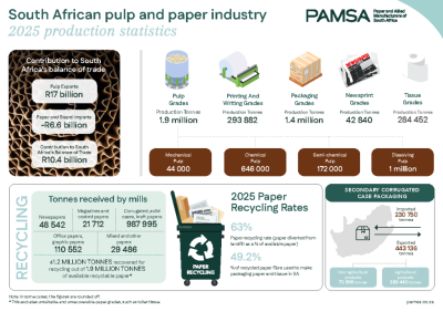 266438 PAMSA Production stats infographic 2025 final