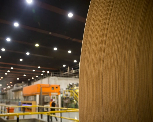 Industrial Paper Manufacturing Process