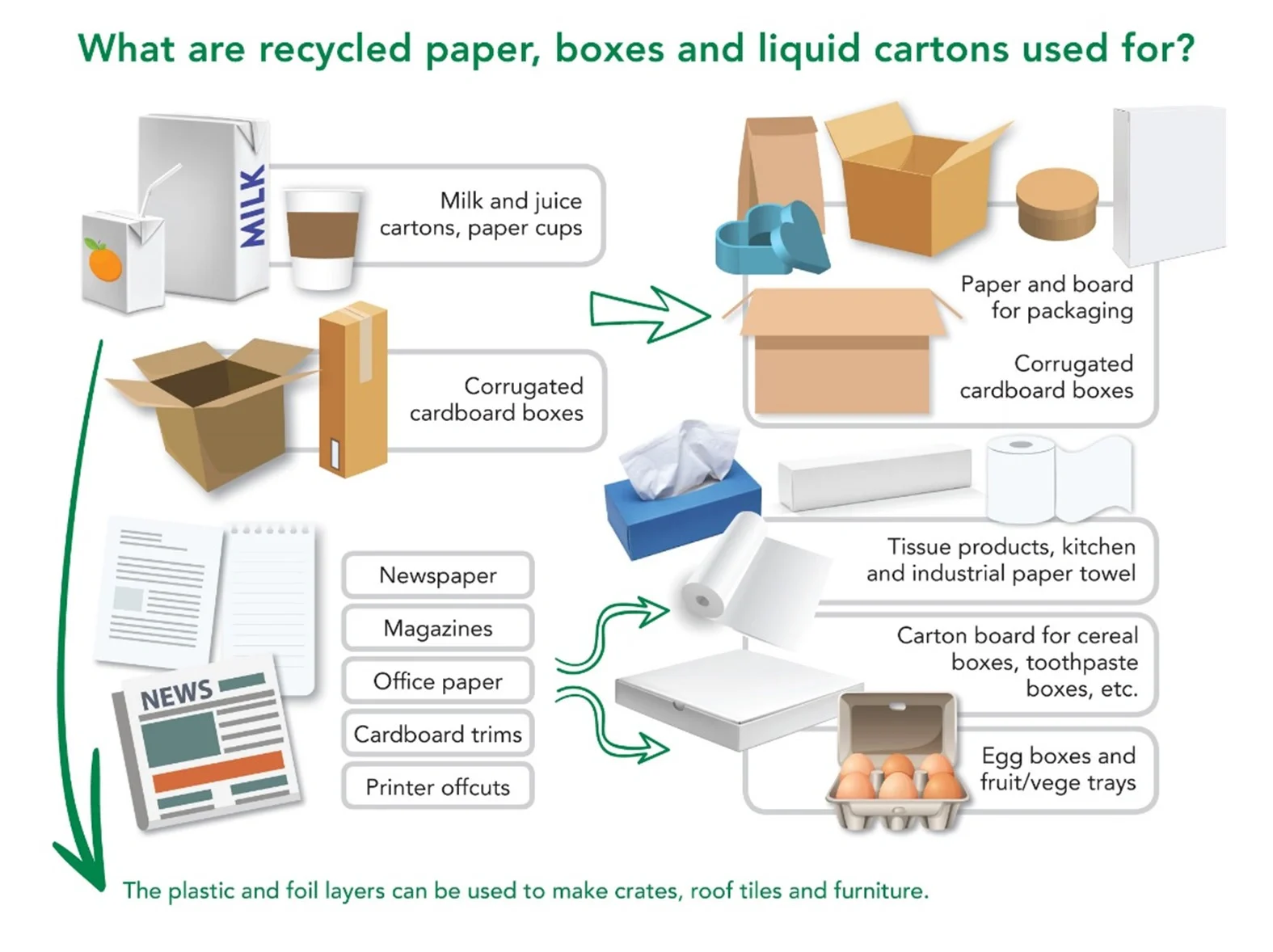 Recycled Paper Products Infographic
