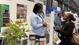 The-forest-products-value-chain’s-case-for-a-more-connected-SADC