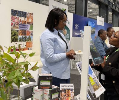 The-forest-products-value-chain’s-case-for-a-more-connected-SADC