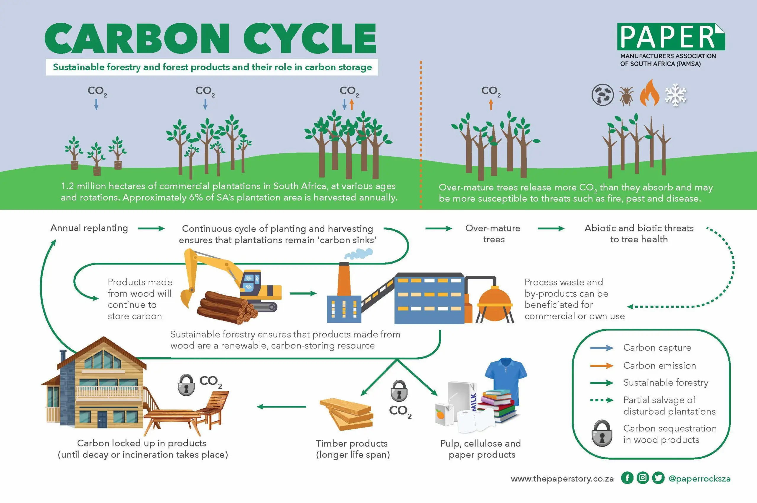 PAMSA Forest Carbon Cycle Infographic